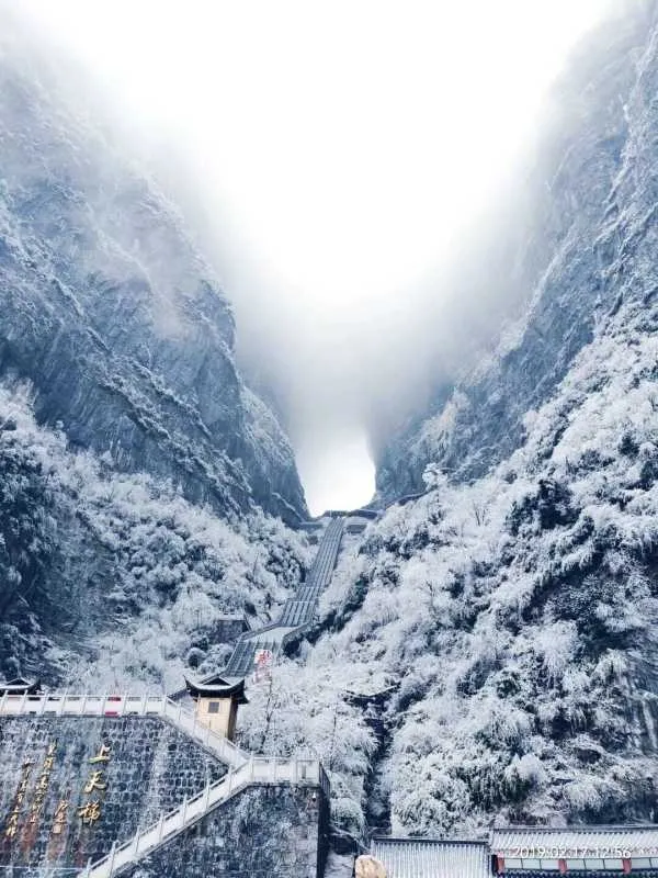 冬季张家界适合旅游吗(冬季张家界适合旅游吗知乎)