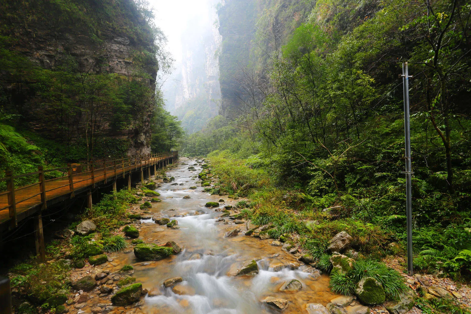 张家界最新旅游(张家界最新旅游消息)
