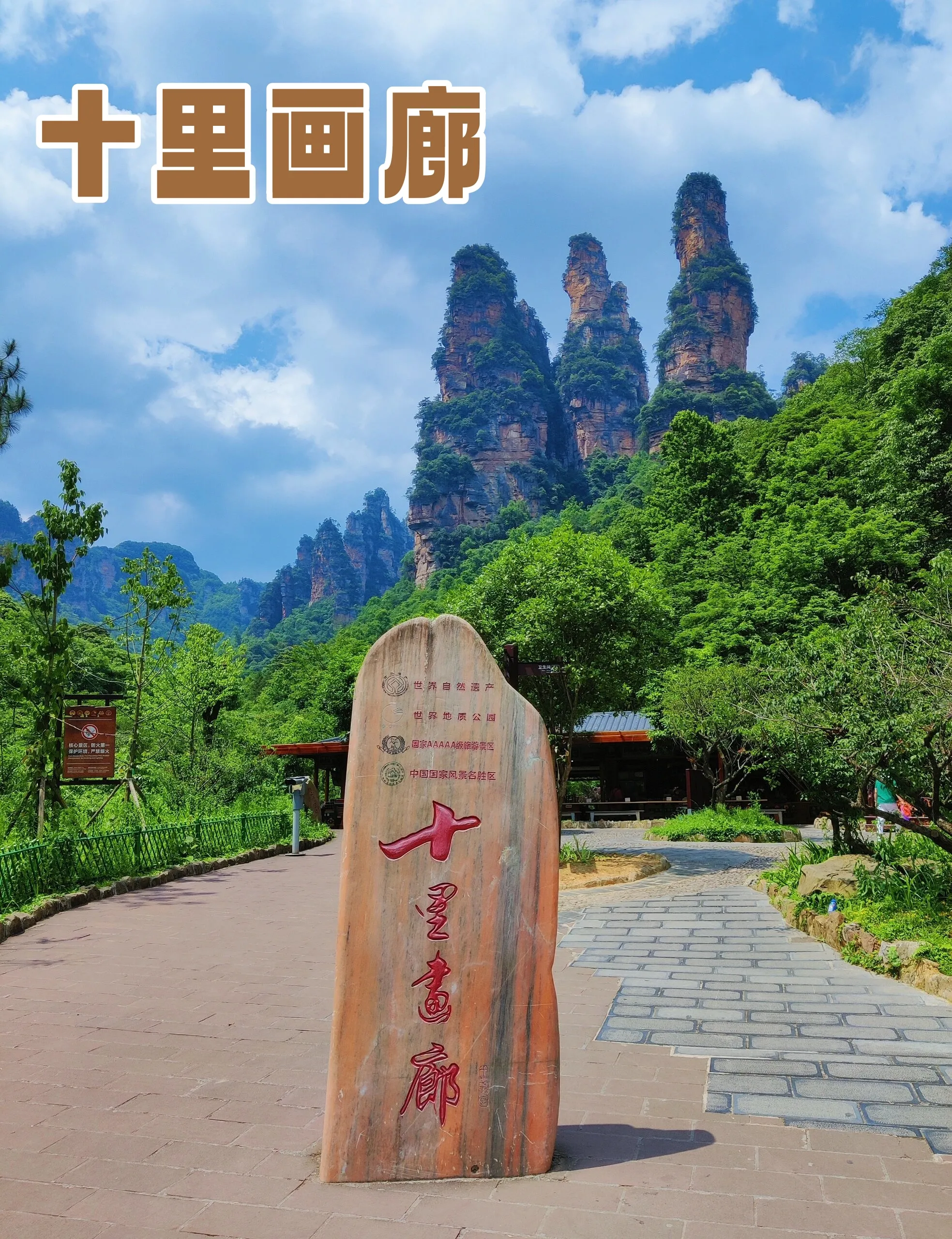 张家界火车站到张家界天门山怎么去(张家界火车站到天门山有多远怎么坐车)