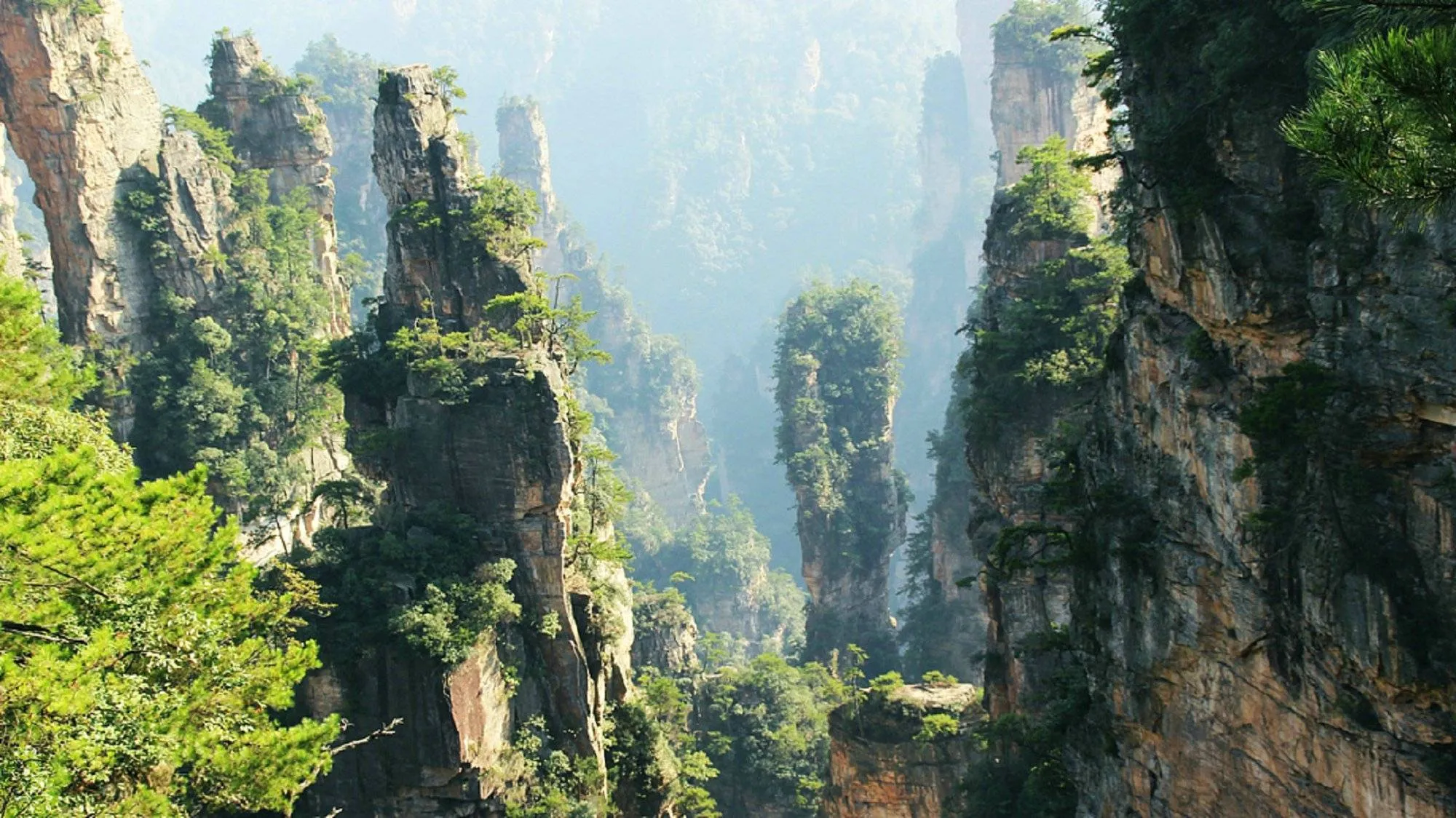游去张家界(51去张家界旅游)