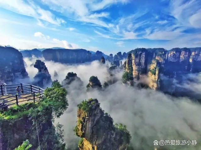 张家界的旅游旅游(张家界旅游旅游避坑)