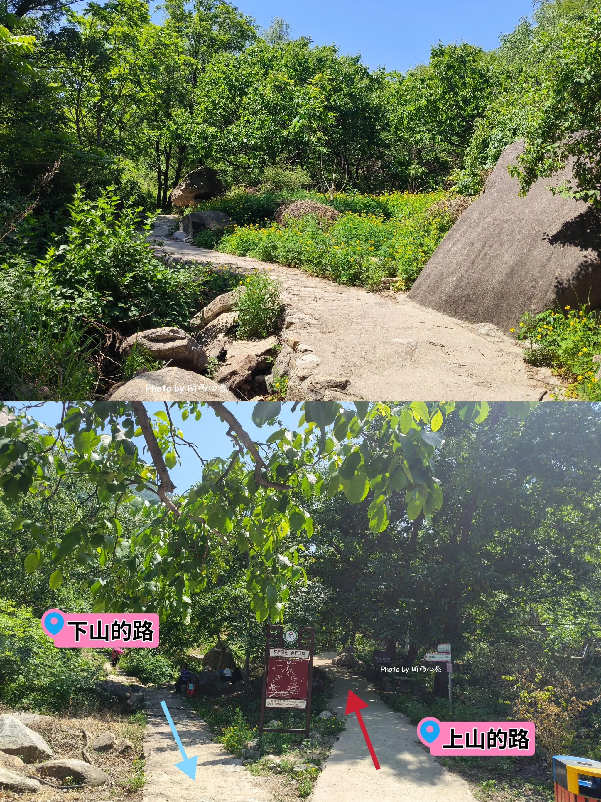 自助游天门山攻略(天门山旅游攻略安排)