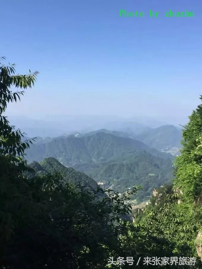 张家界到张家界天门山怎么去(张家界到张家界天门山怎么去最快)