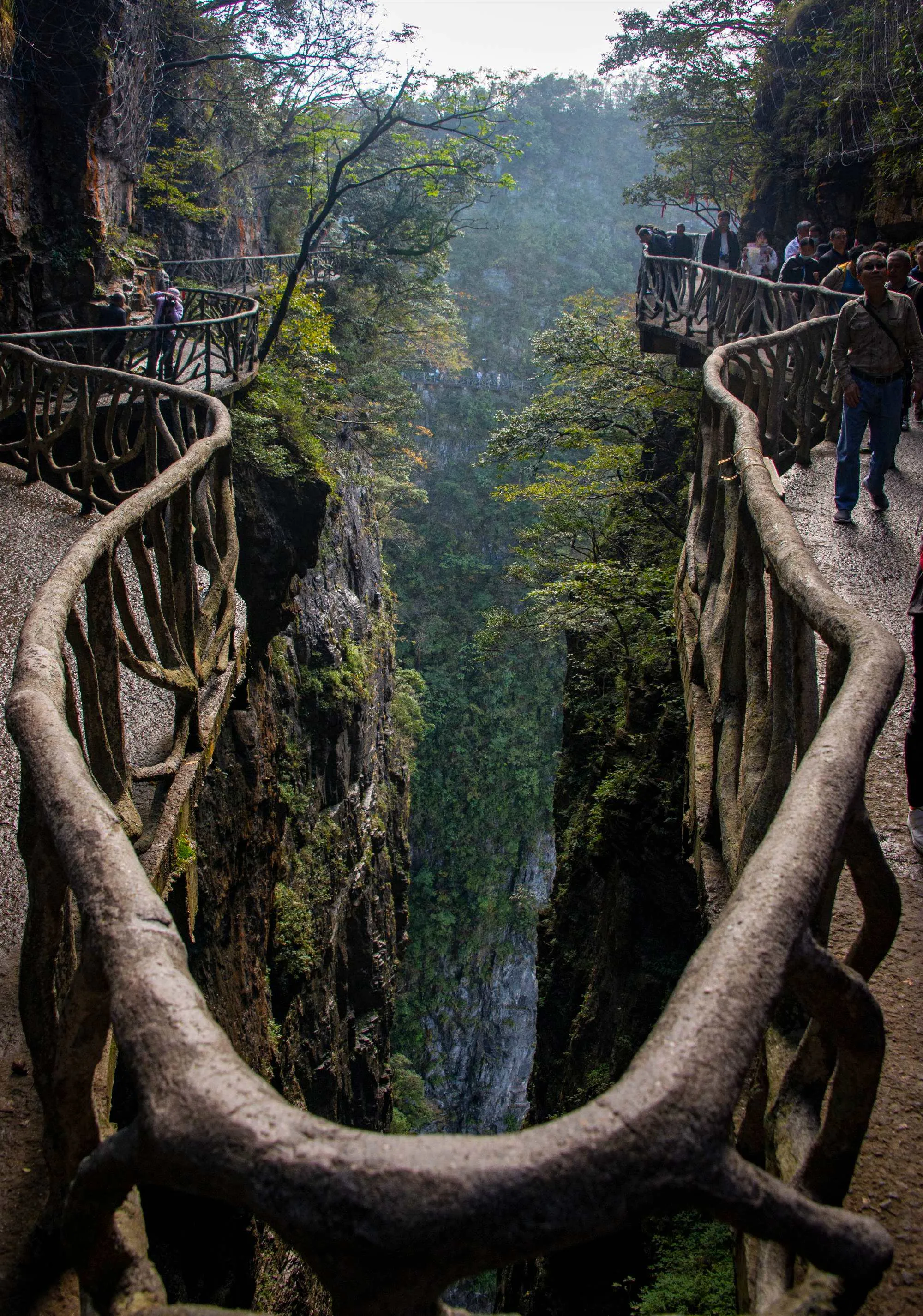 张家界天门山游游(张家界天门山旅游攻略安排)