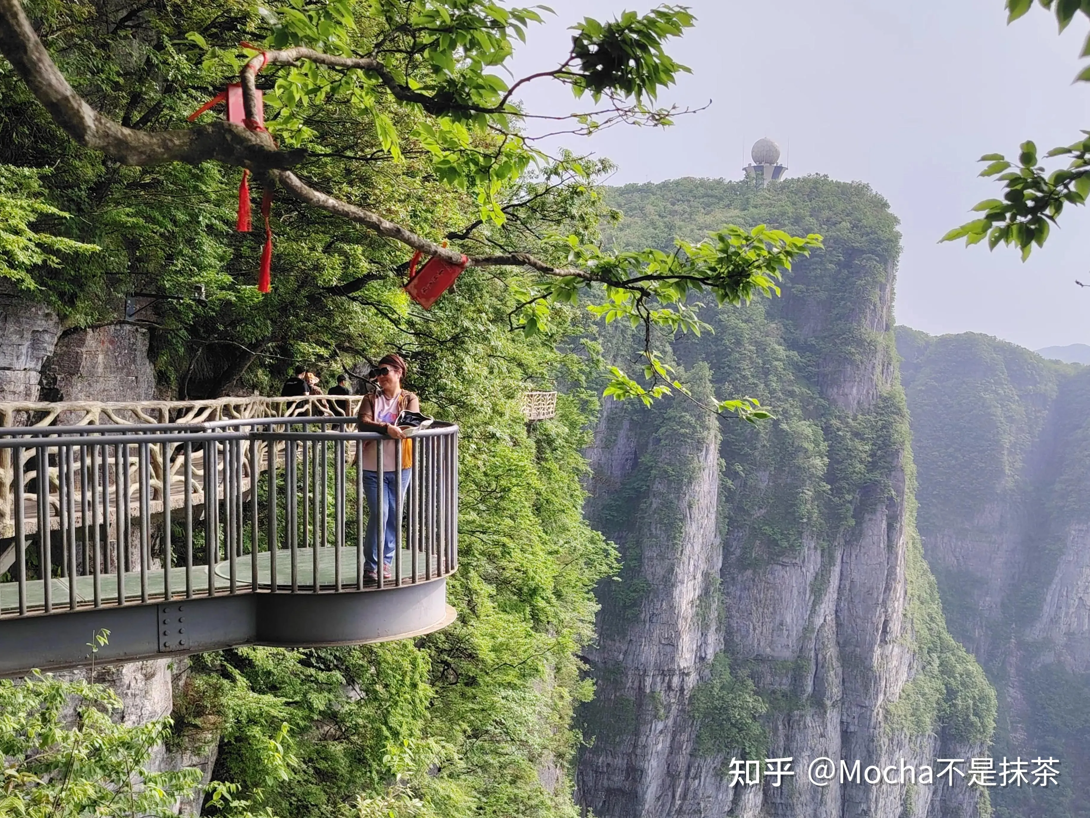 从张家界到天门山怎么走(张家界到天门山景区怎么走)