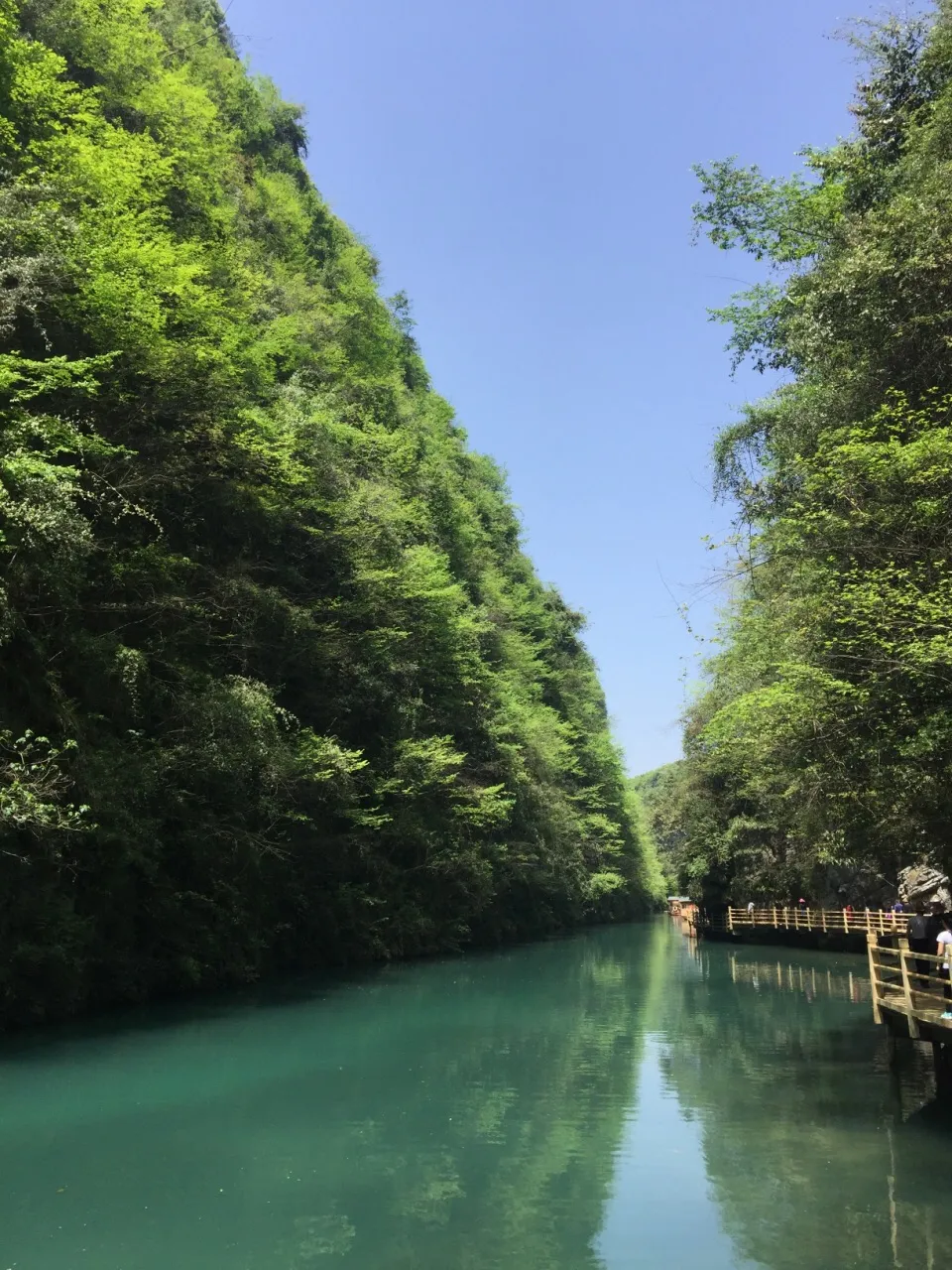 张家界2019旅游(张家界2019旅游接待人数多少)