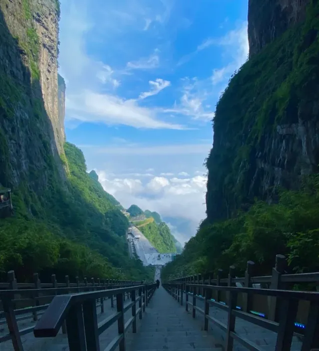 夏天旅游张家界天门山(夏天旅游张家界天门山好玩吗)