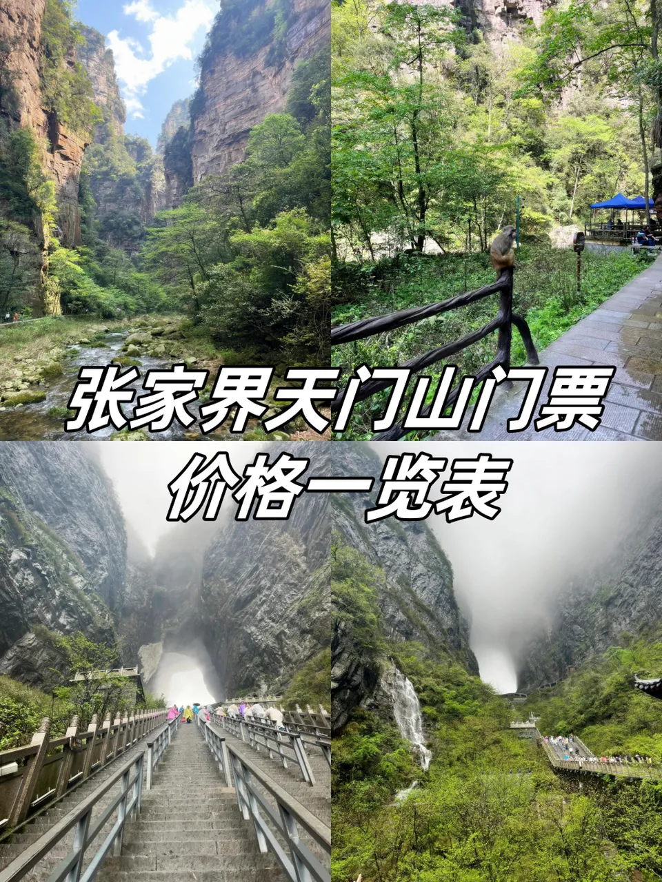 张家界天门山门票路线(张家界天门山门票多少钱一张)