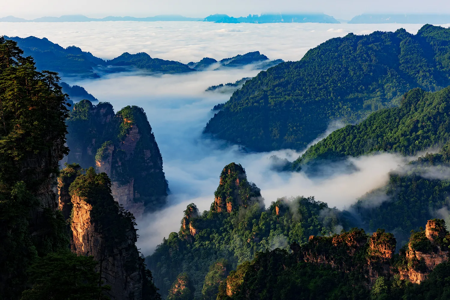 张家界2019旅游(张家界2019旅游接待人数多少)