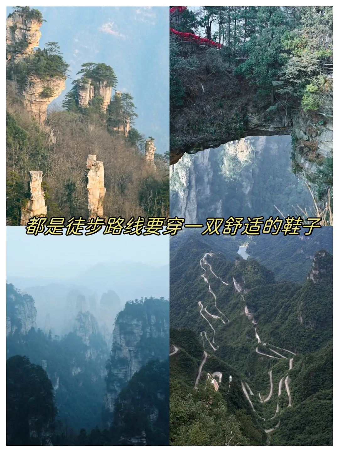 张家界天门山森林公园路线(张家界天门山森林公园门票多少钱)