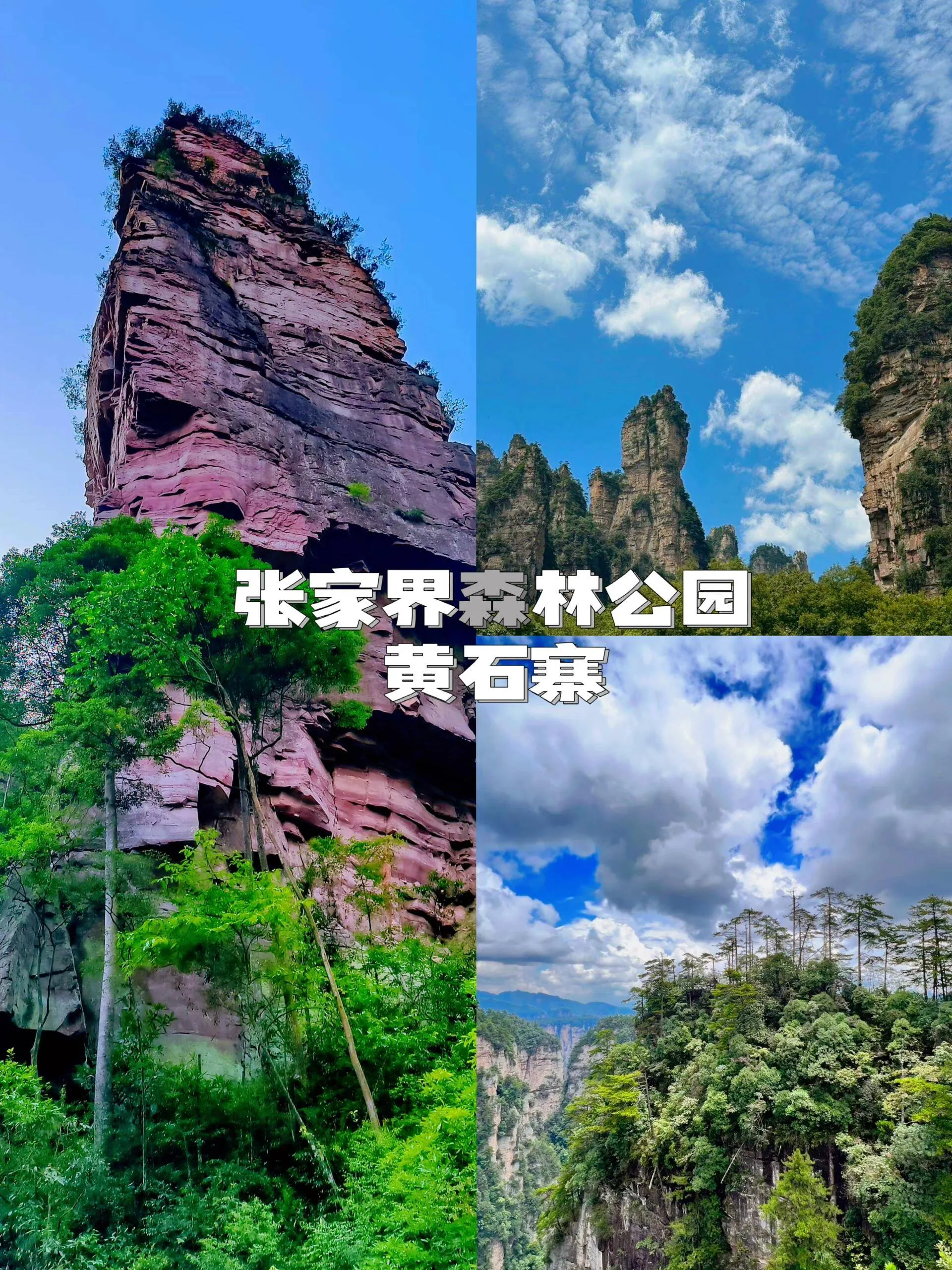 旅游张家界需要多钱(张家界旅游需要多少钱12万阅读)