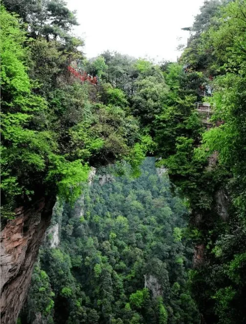 张家界旅游天门山功略(张家界旅游天门山门票多少钱一人)