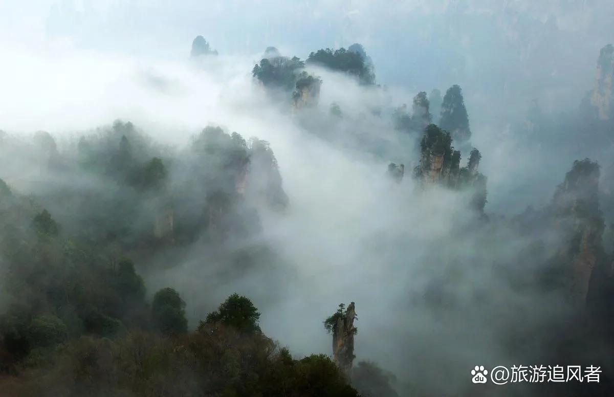 张家界景区怎么游玩(张家界景区游玩需要多长时间)