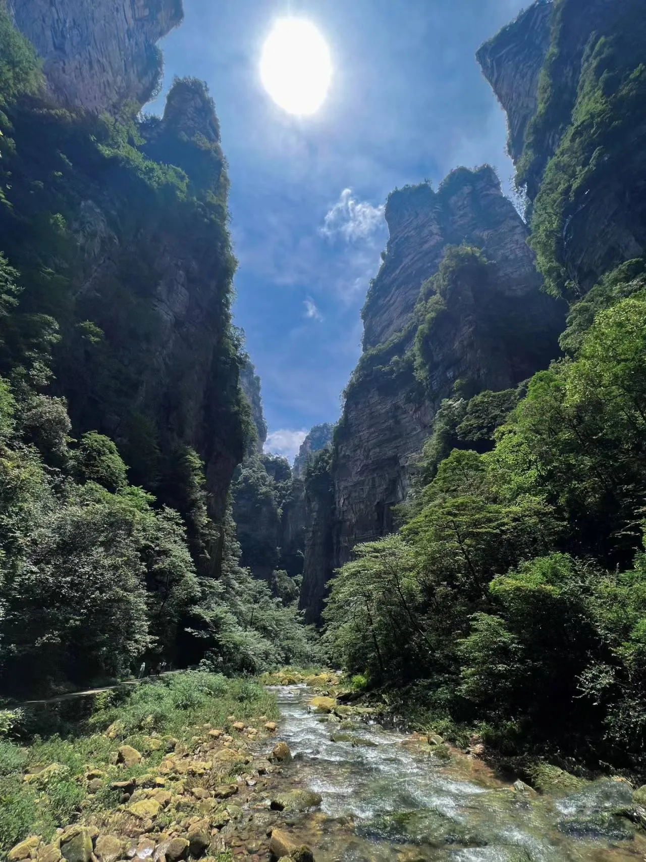 从张家界到张家界旅游(张家界到张家界景区多远)