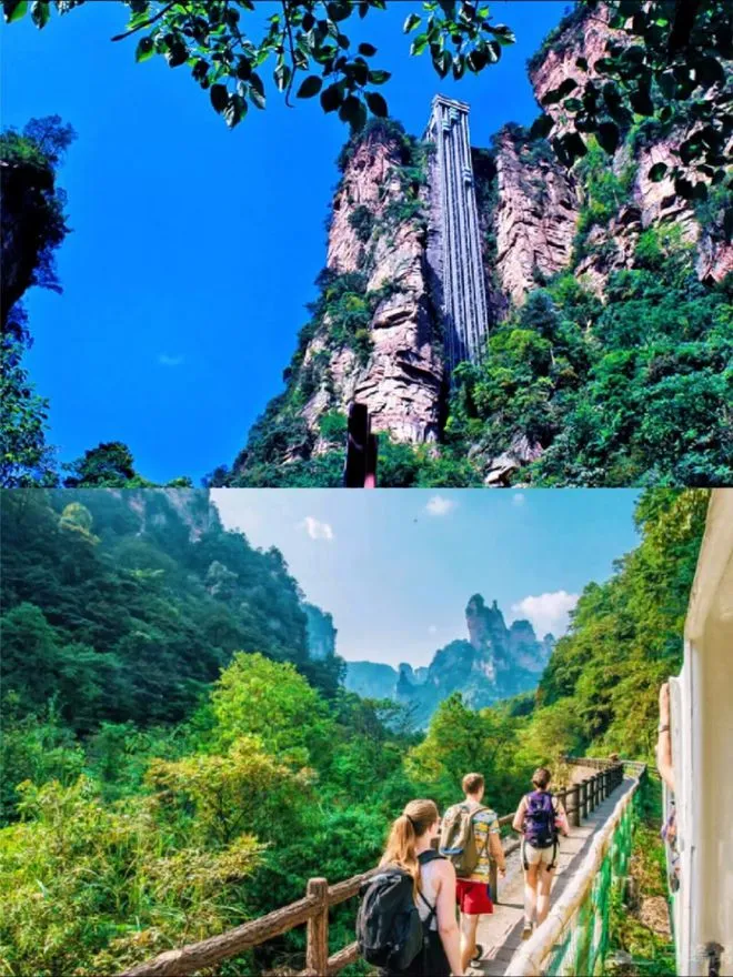 张家界天门山旅游怎么走(张家界天门山哪条线路好玩些)