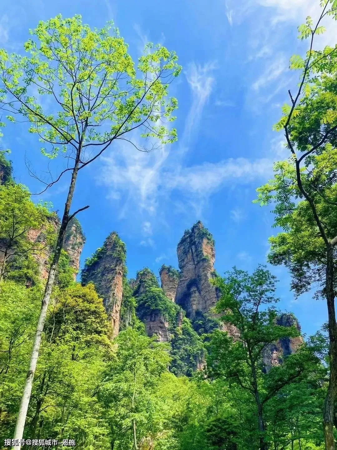 湖南张家界5日游攻略(湖南张家界5日游攻略图)