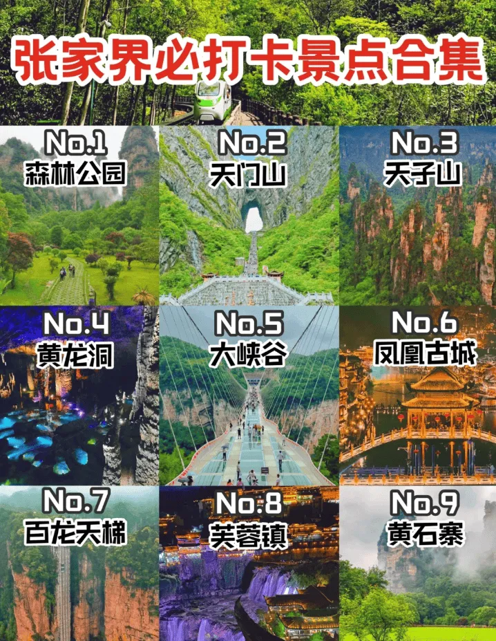 张家界旅游事项(张家界最新旅游政策)