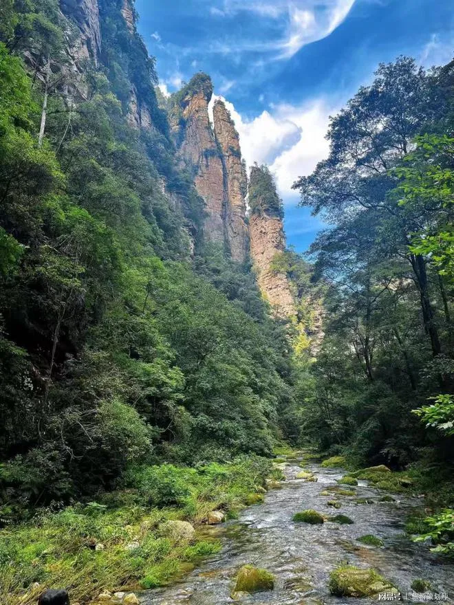 七月份去张家界杨家界旅游好吗(7月份张家界气候适宜去旅游吗?)