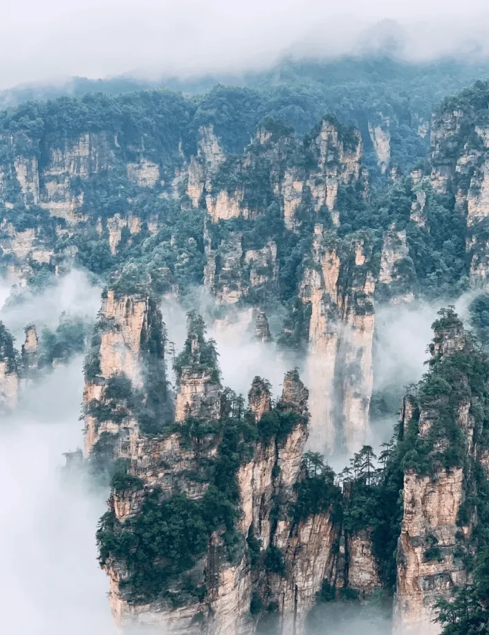 张家界景区旅游旅游(张家界景区旅游旅游路线)