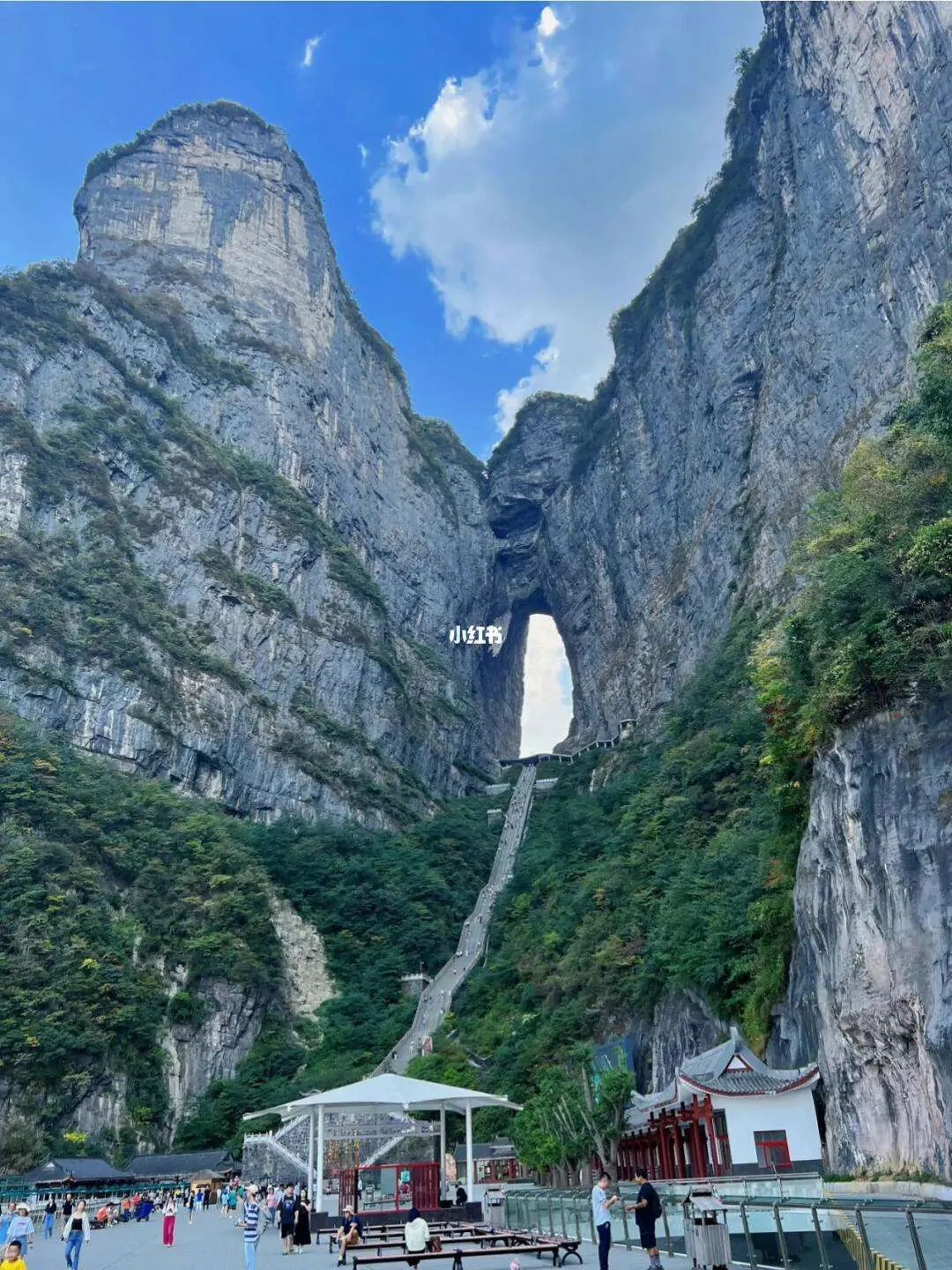 去张家界旅游攻略景点(去张家界旅游攻略景点大全)
