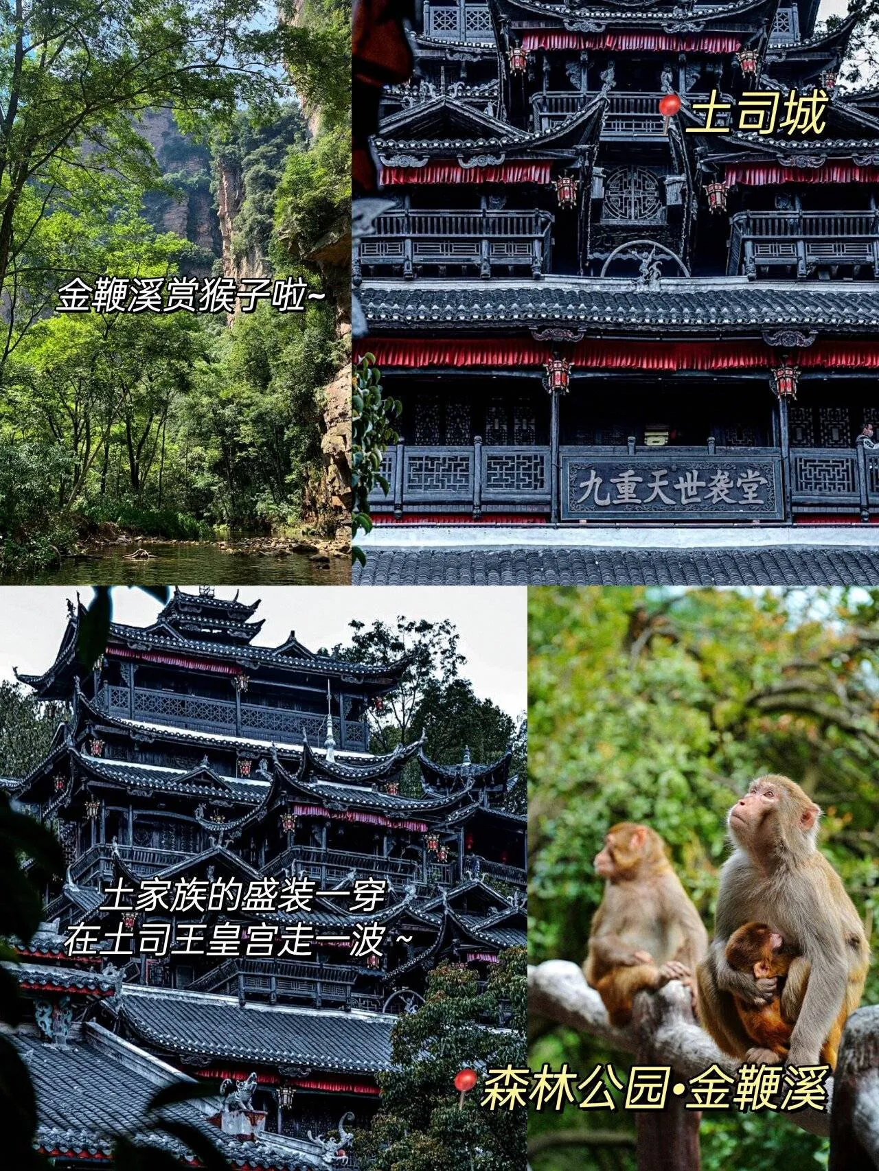 湖南天门山票价多少(湖南天门山门票有免票政策)