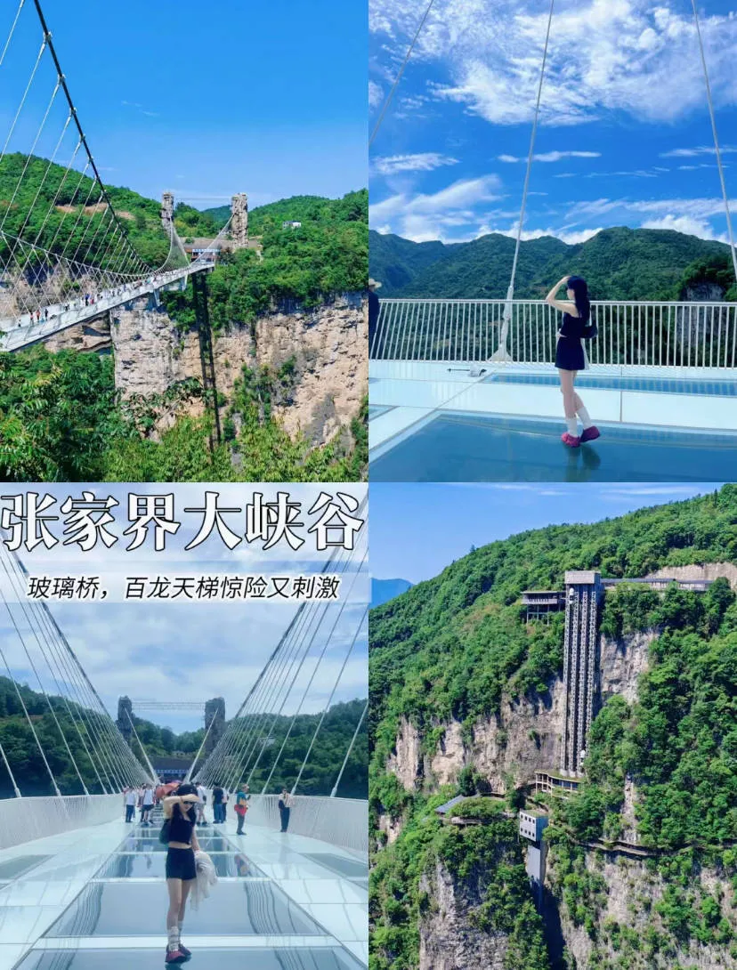怎么去张家界旅游攻略自由行三天(怎么去张家界旅游攻略自由行三天游)
