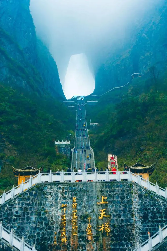 张家界天门山景区旅游(张家界天门山景区旅游服务中心附近酒店)