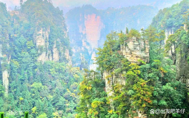 去湖南张家界旅游攻略自由行攻略(去湖南张家界旅游攻略及费用要多少)