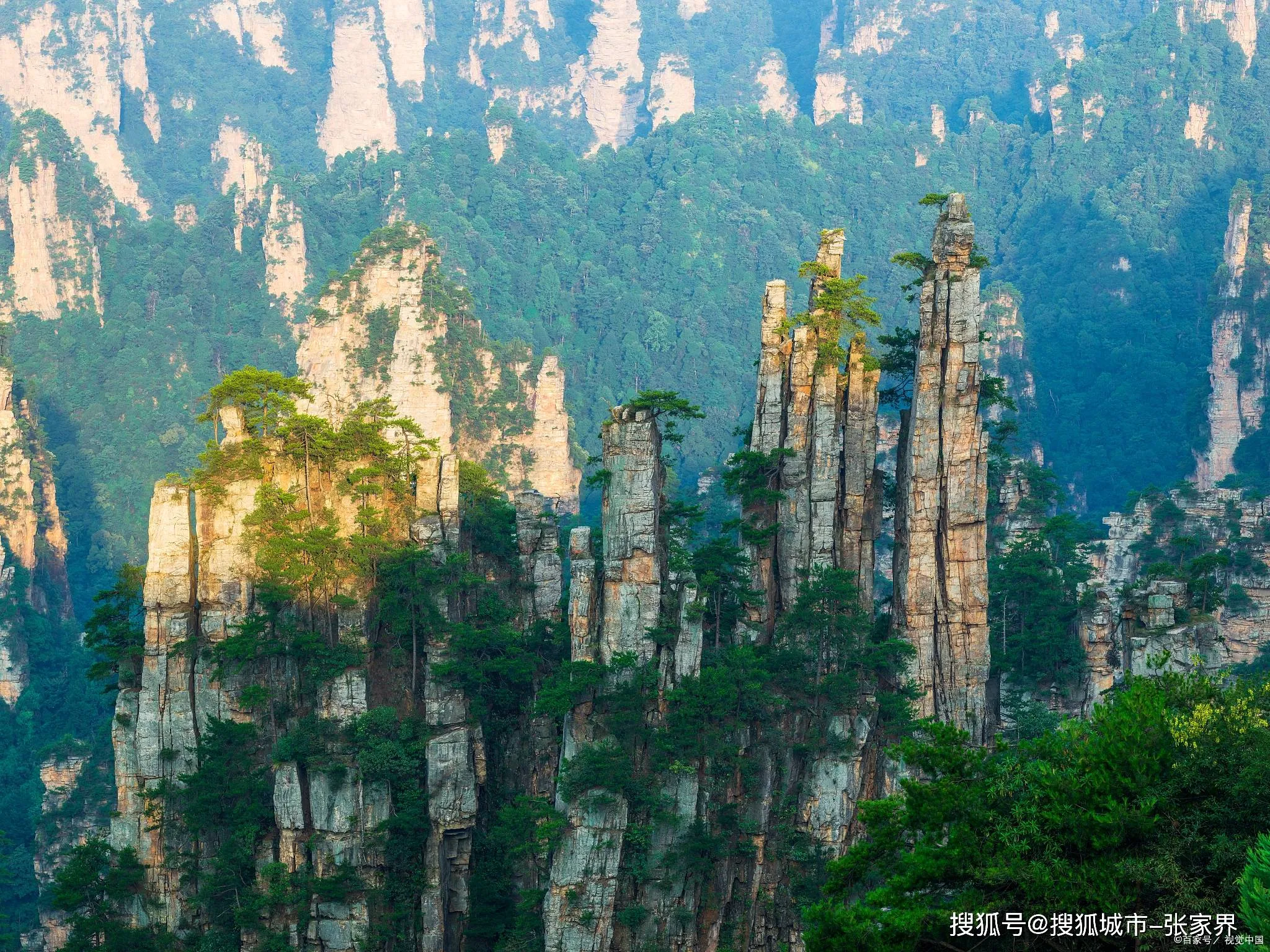 张家界天门山景区旅游(张家界天门山景区旅游服务中心附近酒店)