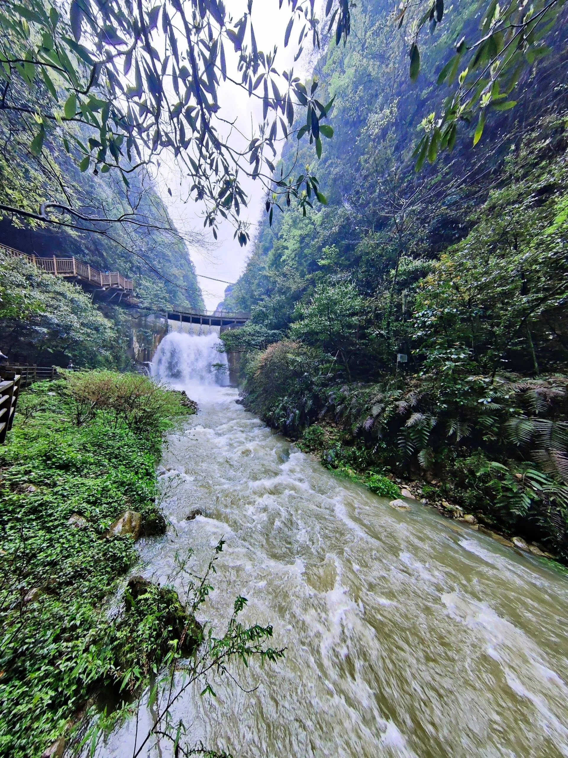 从贵阳去张家界的路线(贵阳到张家界要经过哪些地方)