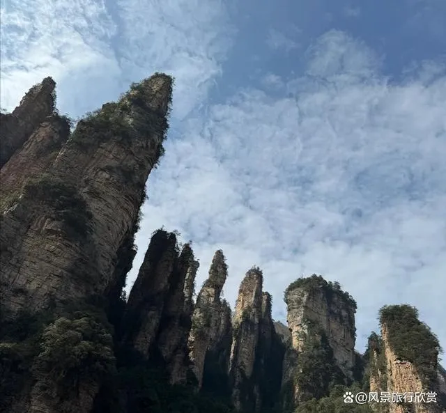 旅行张家界旅游(旅行张家界旅游攻略)