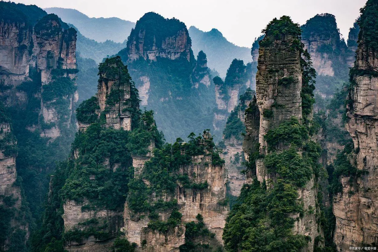 张家界当地旅游(张家界当地旅游公司)