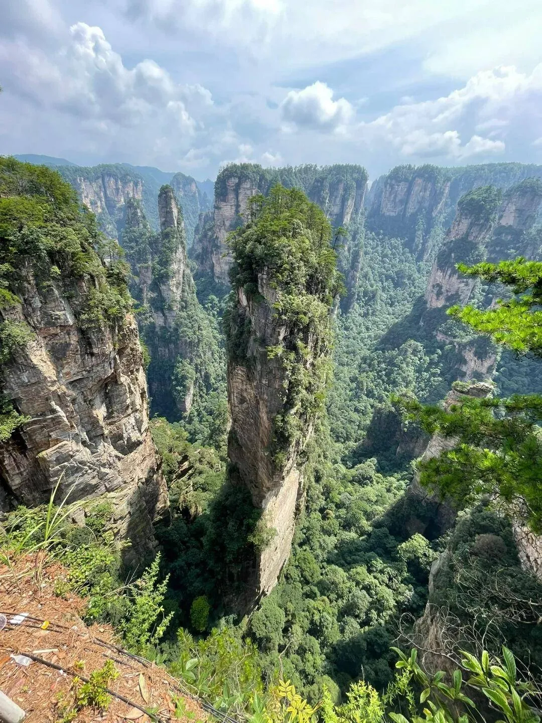 过年张家界旅游攻略(过年张家界旅游攻略大全)