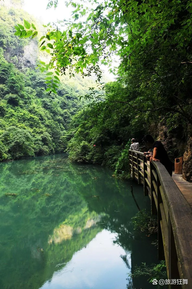 张家界旅游张家界(张家界旅游张家界景点)