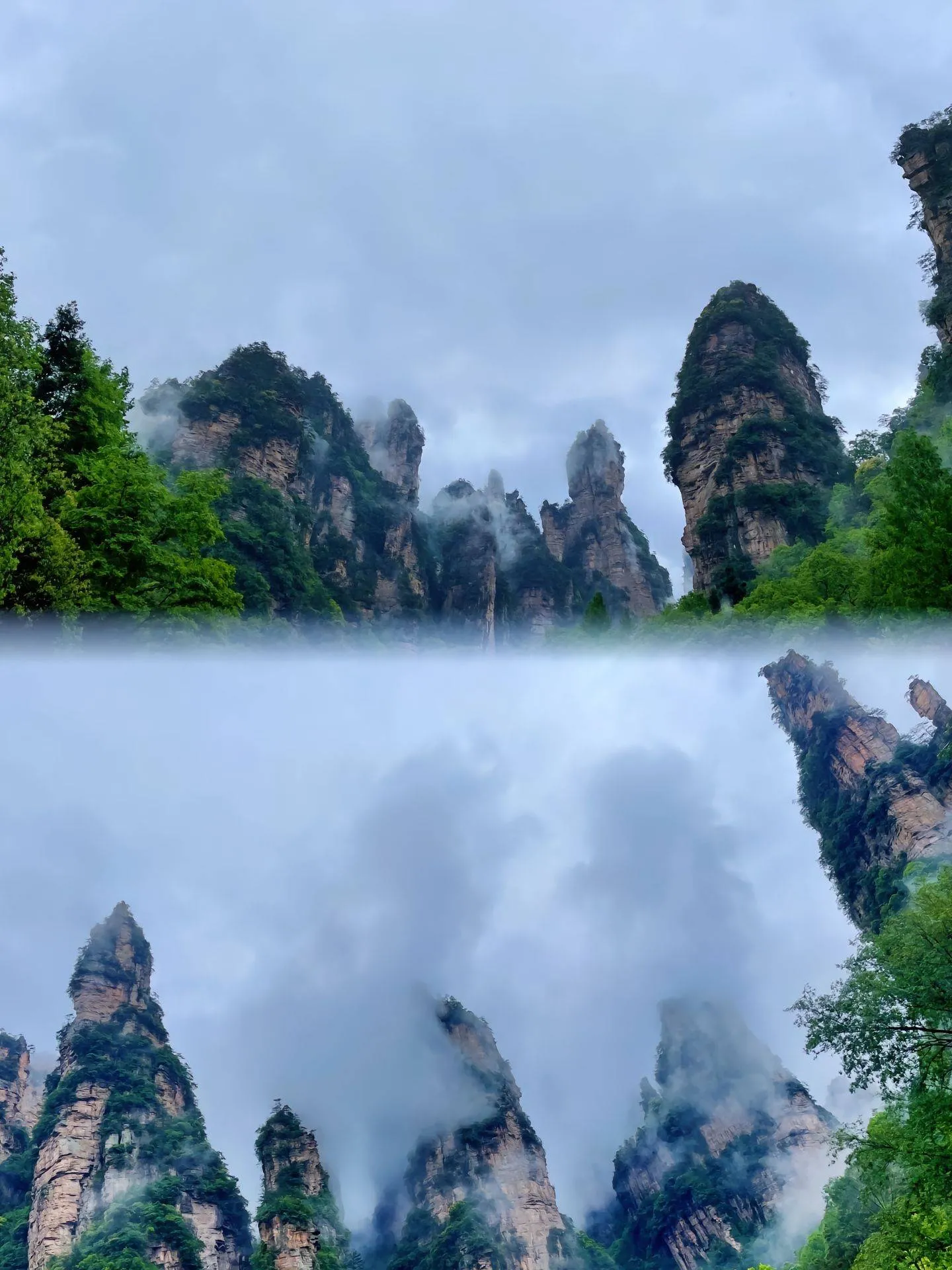 张家界张家界游景点(张家界旅游景点有哪些景点)