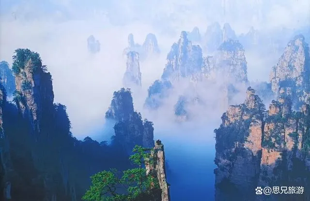 湖南张家界6日游(湖南张家界6日游多少钱)
