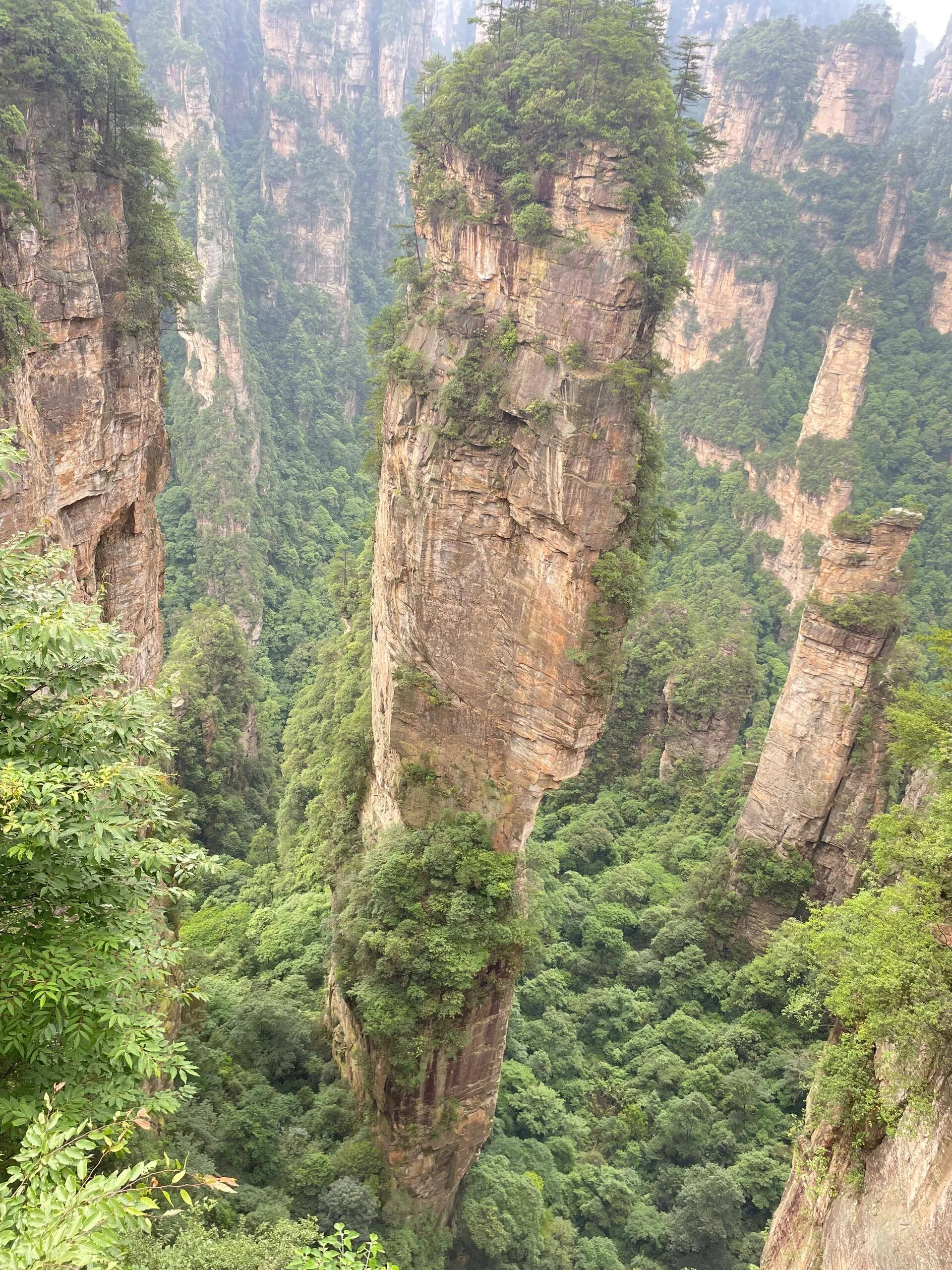 张家界张家界跟团旅游(张家界旅游跟团有什么坑)