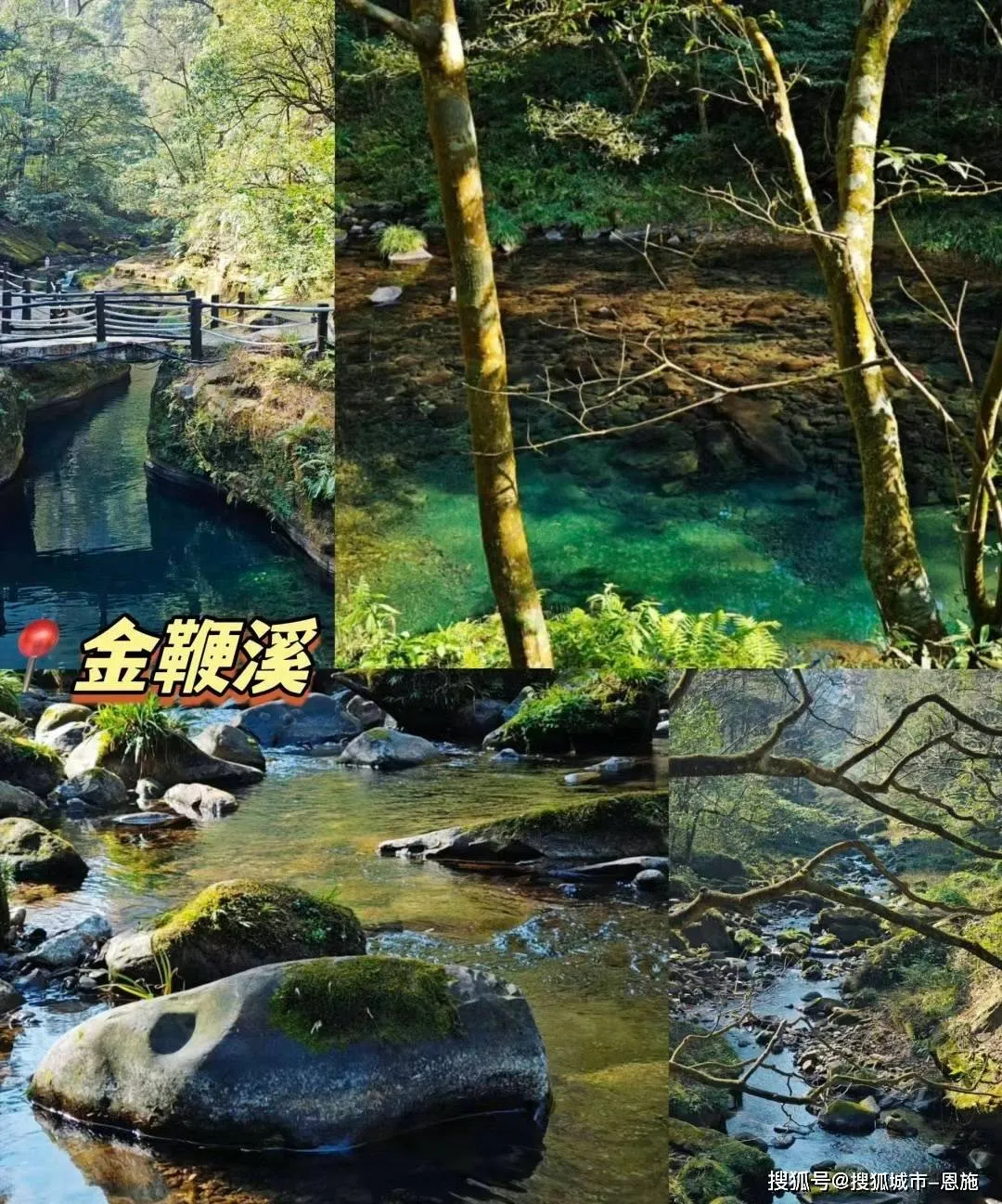 带老人去张家界旅游最佳路线(带老人去张家界该怎么安排行程)
