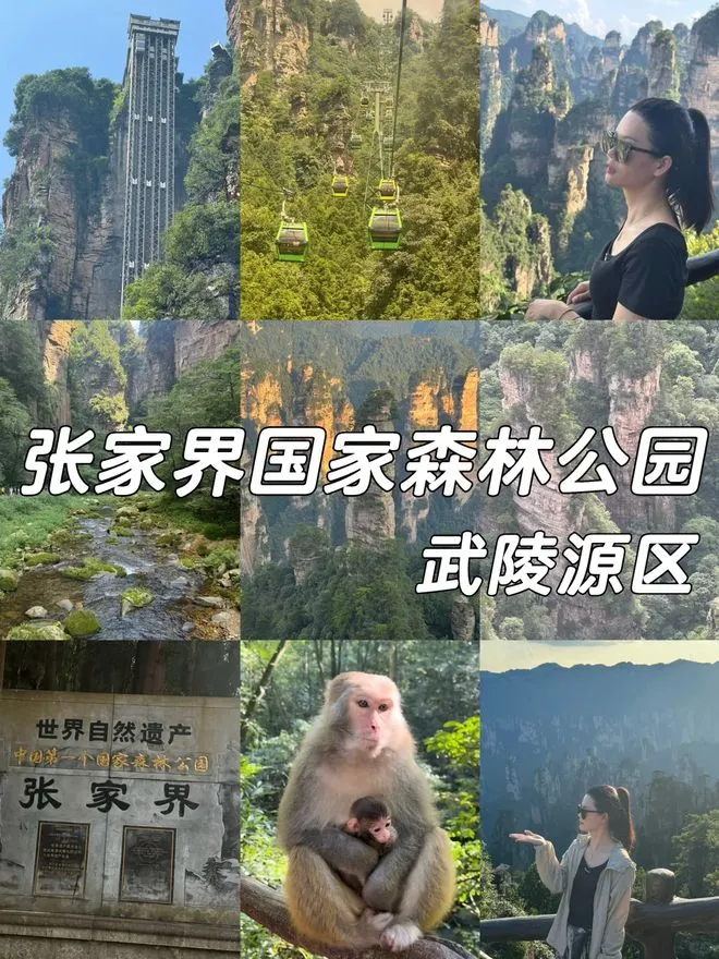 报团张家界4日游(张家界参团4日旅游)