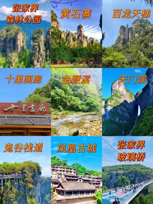 广州到张家界三日游攻略(广州到张家界三日游攻略路线图)