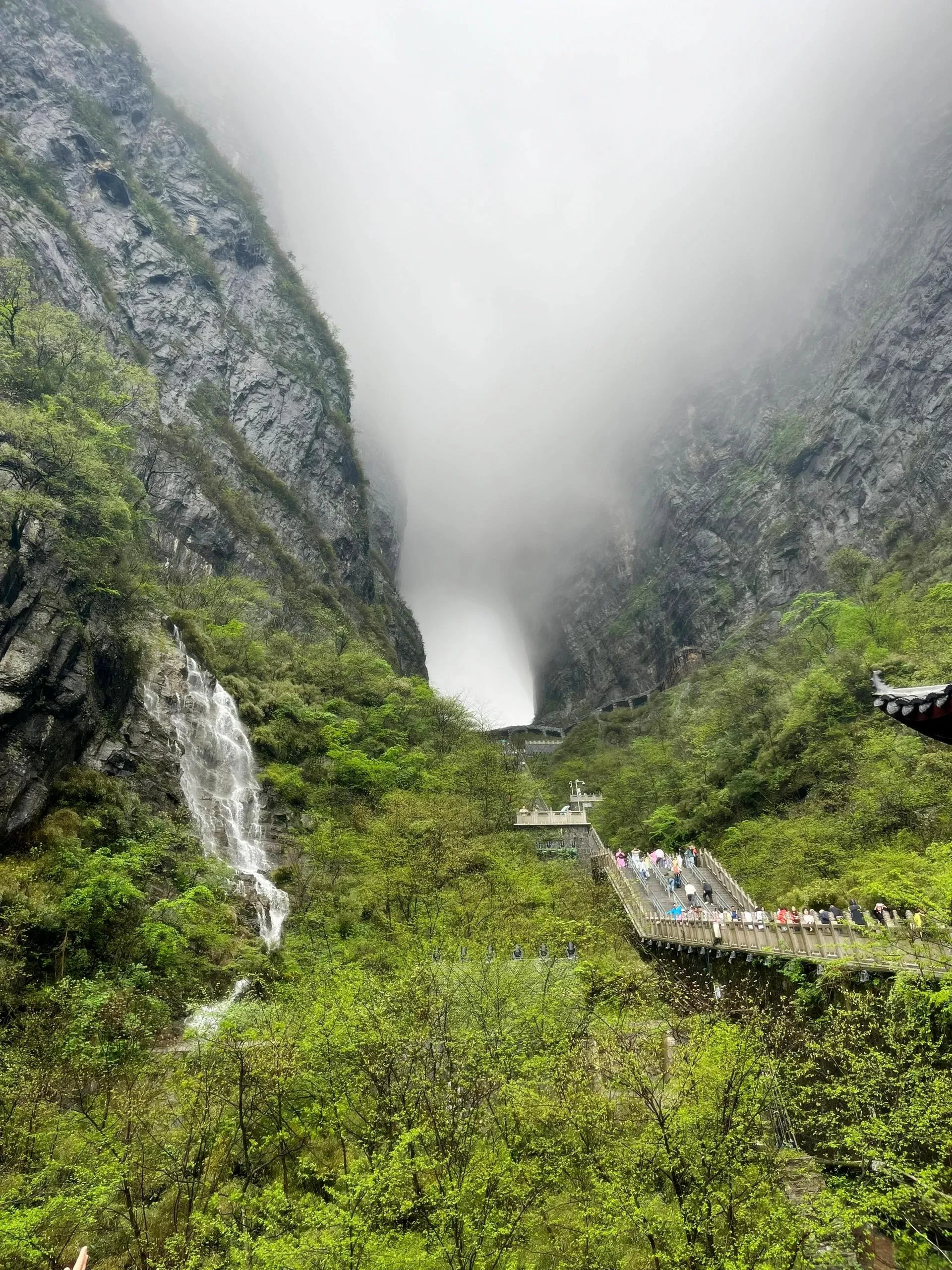 张家界天门山公园儿童票(张家界天门山小孩要门票吗)