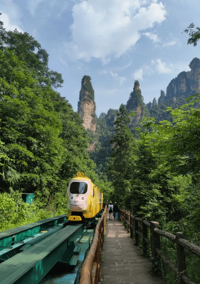 张家界,旅游(张家界旅游图 路线图)