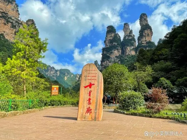 张家界当地旅游(张家界当地旅游公司)