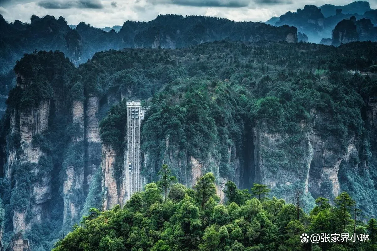 张家界旅游自由行三天攻略(张家界旅游自由行三天攻略路线)