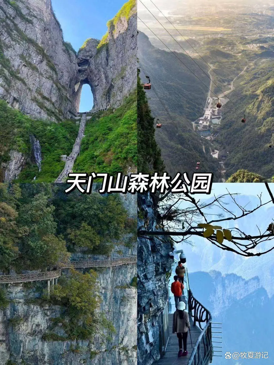 去张家界旅游张家界(去张家界旅游攻略和费用是多少)