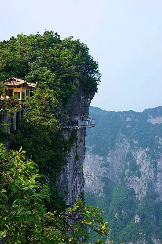 到张家界旅游自由行线路(到张家界旅游自由行线路攻略)
