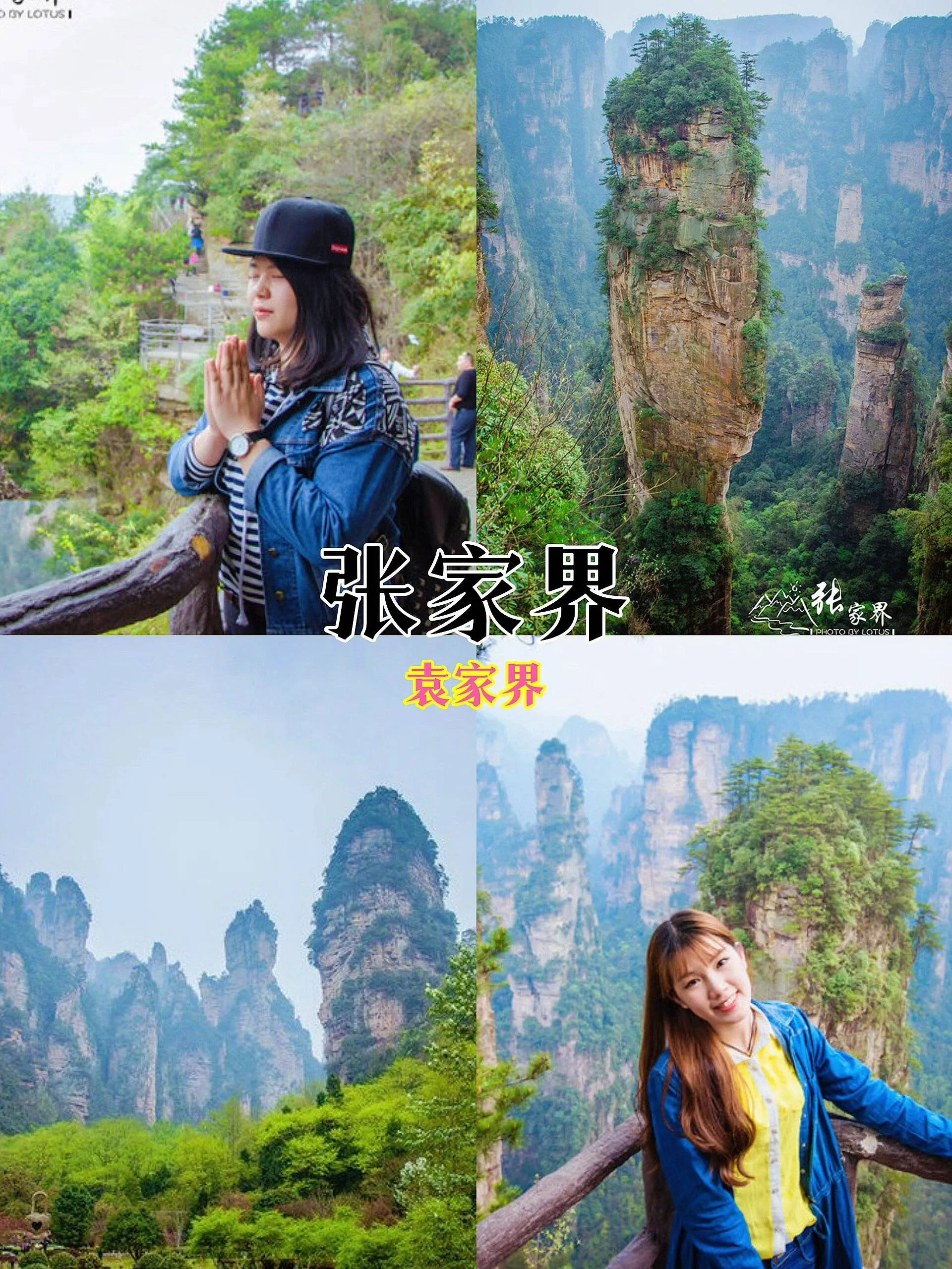 去张家界旅游攻略自由行(张家界旅游攻略自由行最佳线路)