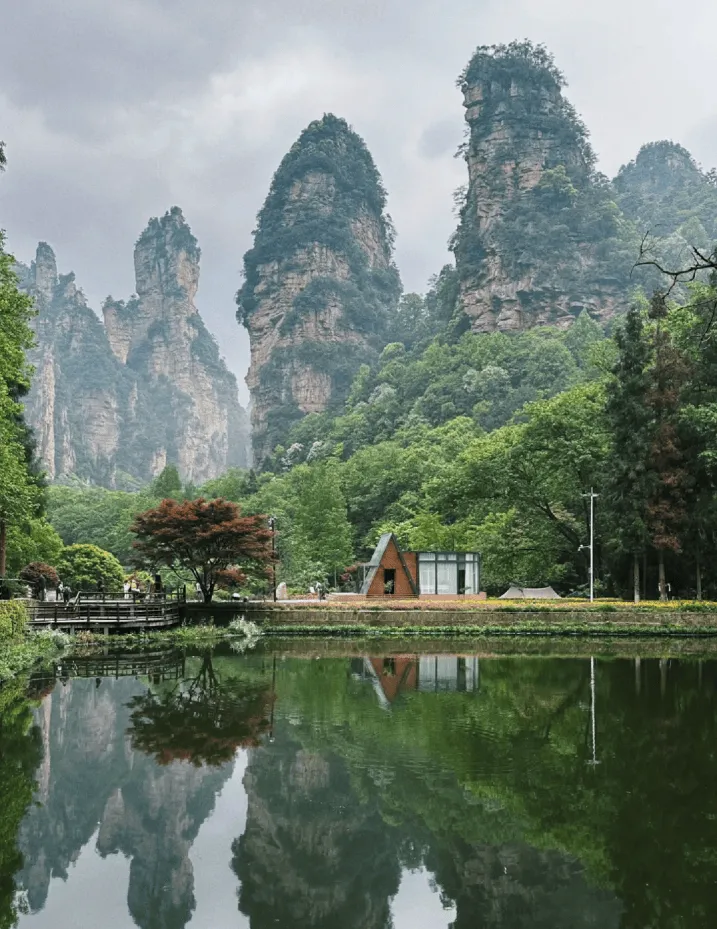 旅游去张家界怎么样(旅游去张家界怎么样好玩)