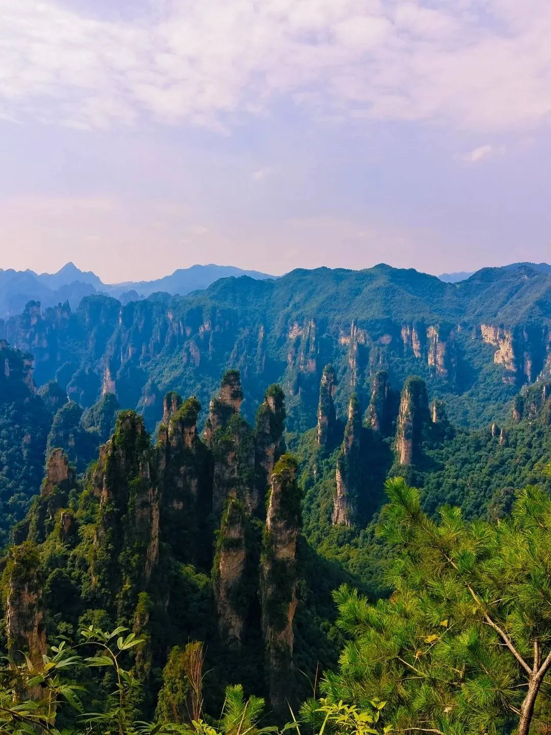 张家界旅游张家界游(张家界旅游攻略,旅游须知)