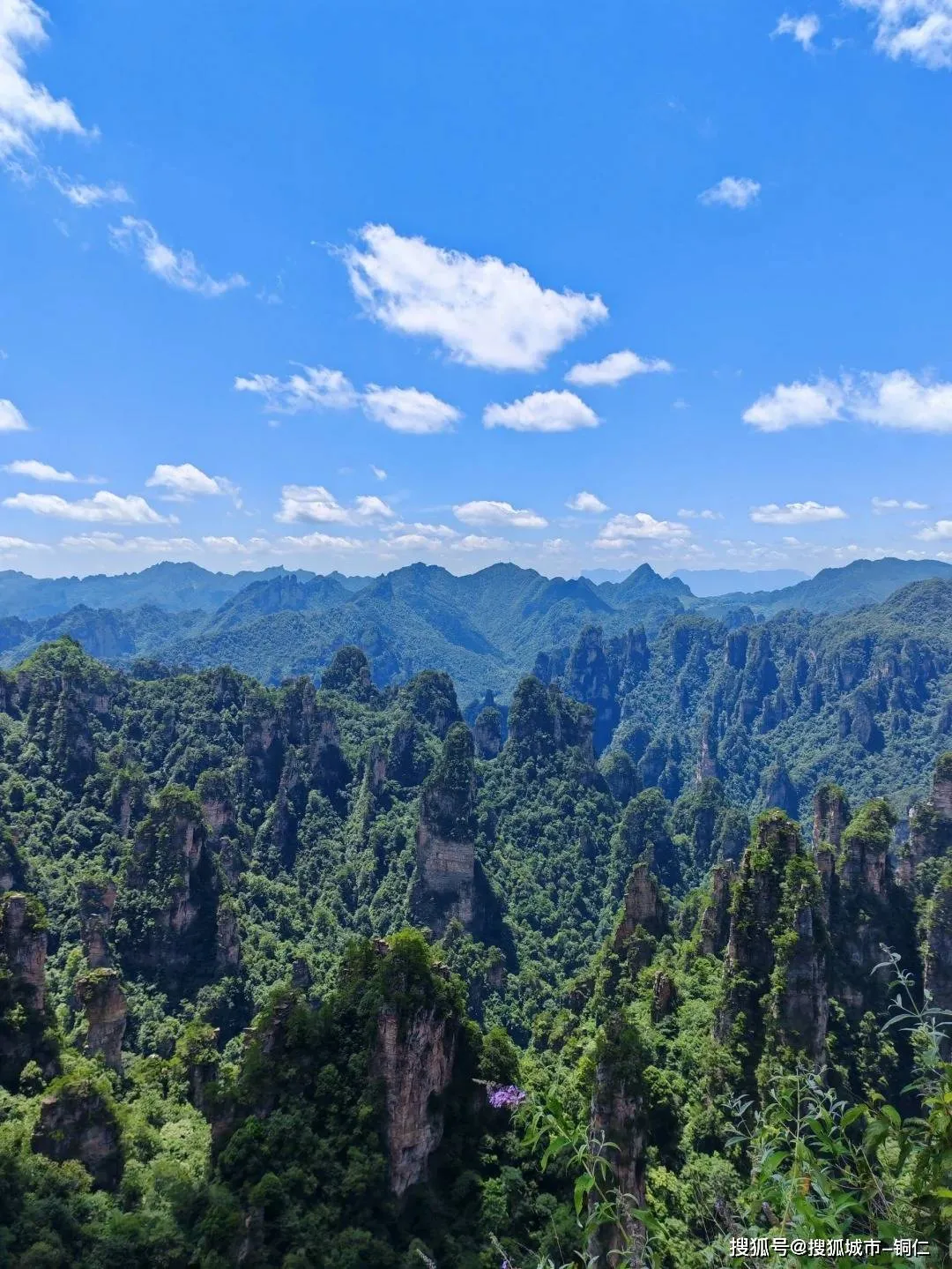 广东到张家界旅游攻略(广东到张家界要多少个小时)